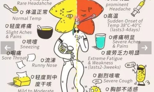 月经期间能喝银耳羹汤吗-月经期间能喝银耳汤吗网 :分享经期可以喝银耳-月经期间能喝银耳汤吗知识